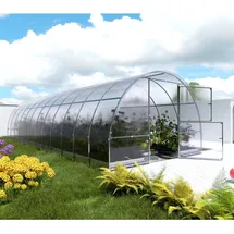 meistro kodas Klasika Easy Gewächshaus verzinkt Transparent Polycarbonat 6 mm 24 m2