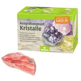 Moses MOSES. VERLAG 9880 Expedition Natur Ausgrabungsset Kristalle, sortiert
