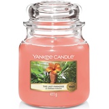 Yankee Candle The Last Paradise mittelgroße Kerze 411 g