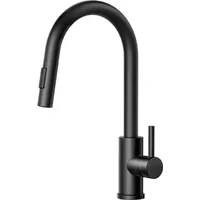 luxuskollektion FORIOUS Küchenarmatur Schwarz