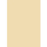 Baier & Schneider Fotokarton A4 300g beige