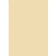 Baier & Schneider Fotokarton A4 300g beige