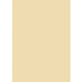 Baier & Schneider Fotokarton A4 300g beige