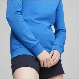 Puma teamGOAL Casuals Sweatshirt Blau XS