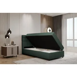 panda möbel Boxspringbett 100x200, mit Bettkast und Topper- dunkelgrün