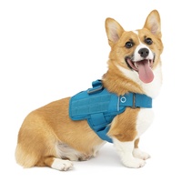 Kurgo RSG Townie Hundegeschirr, Einfaches Anlegen und Abnehmen, Einstellbare Brust- und Bauchgurte, Größe XL, Blau