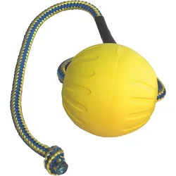Fantastic Fantastic Foam Ball on a rope (Bälle, Schwimmspielzeug), Hundespielzeug