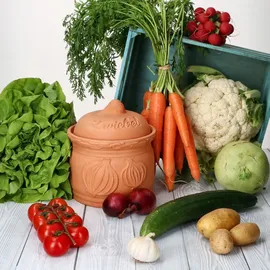 Mambocat Terra Zwiebeltopf aus Terrakotta Ø 17,8cm Aufbewahrungsbox Ton