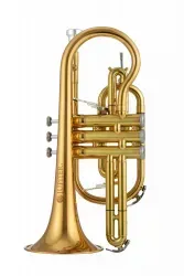 JCR1100 RQ Bb-Kornett Goldmessing lackiert