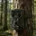 casativo-tech 4K-UHD-Wildkamera Bunt