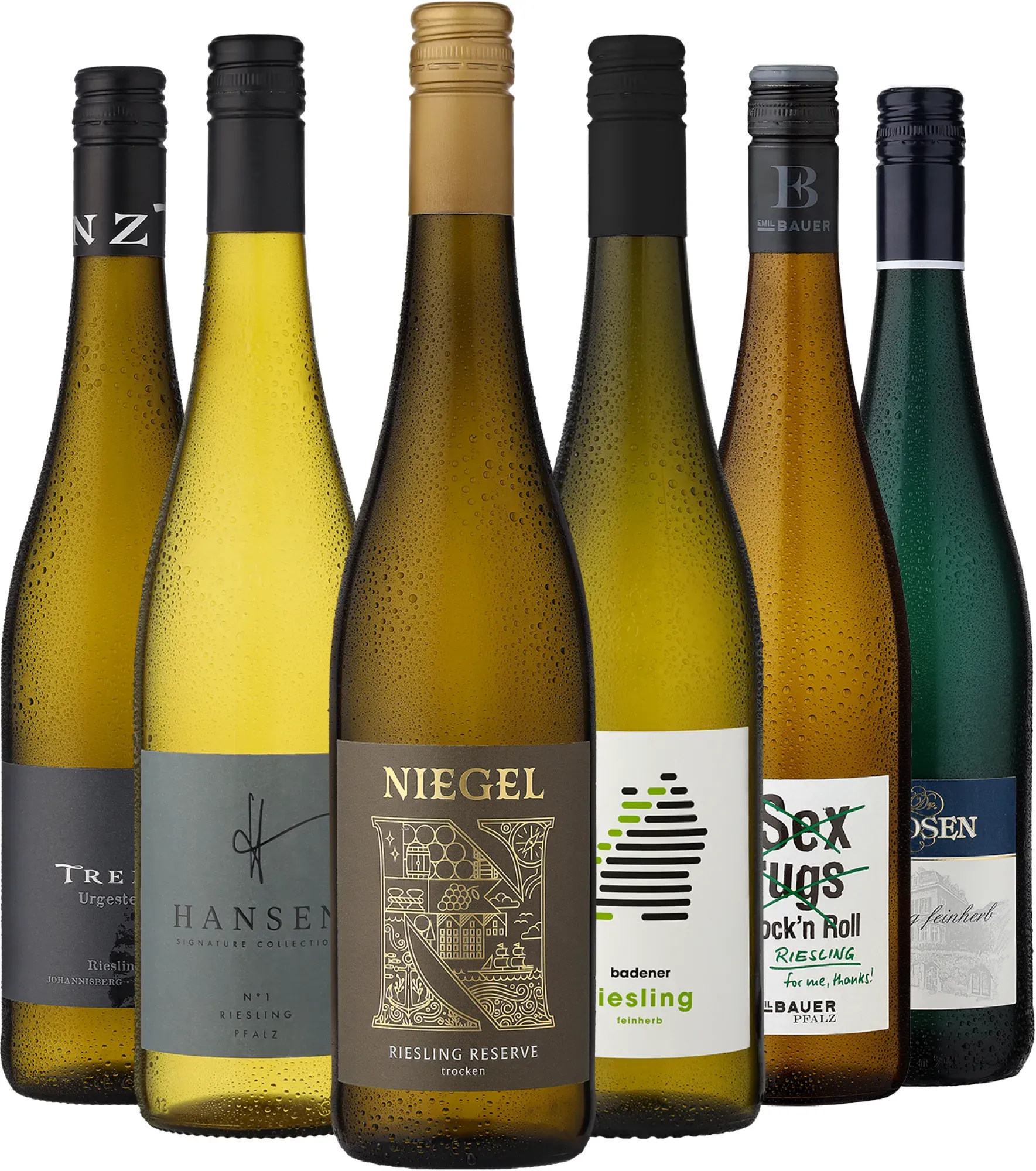 6er-Probierpaket »Riesling Entdecker«