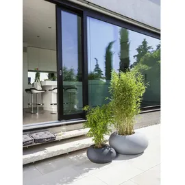 Scheurich Pflanzgefäß Flow 280 Ø 48 x 23,1 cm stony grey