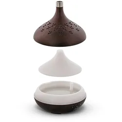 InLine Ultraschall Diffusor - Ambientelicht - Google Home + Amazon Alexa kompati
