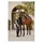 Lemieux Loire Classic Satin CC Springschabracke L Blau