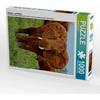 Calvendo Puzzle
