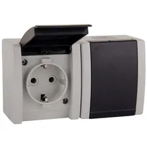 ALING-CONEL Klappdeckelsteckdose 2-fach Aufputz IP44 Grau 2 St.