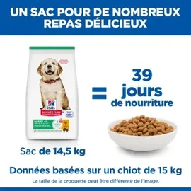 Hill's Science Plan Puppy Large Breed Huhn 14,5 kg