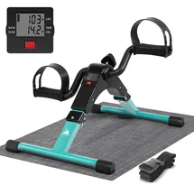 Evoland Mini Bike X1226