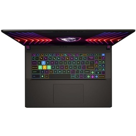 MSI Vector 17 HX A13VHG-677 Intel Core i9-13980HX, Gaming Notebook 43.2 cm (17")