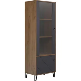 trendteam Trendteam, Vitrine | Gr.: onesize