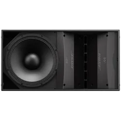 Bose ArenaMatch AM10/100 Outdoor Lautsprecher
