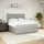 vidaXL Boxspringbett mit Matratze Hellgrau 180x200 cm Samt