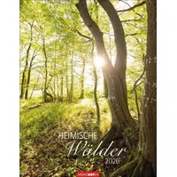 Weingarten Heimische Wälder Kalender 2026