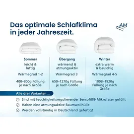 AM Qualitätsmatratzen Premium Mikrofaser Bettdecke mit Sensofill Füllung Made in Germany 200x200cm