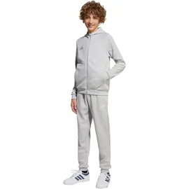 adidas Tiro 25 Kapuzenjacke grau 176