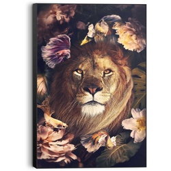 Bild JUNGLE LION