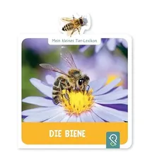 Klein & groß Verlag Mein kleines Tier-Lexikon - Die Biene