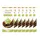 schokolade-tafel Creation Pistazie Schokolade 7 Packungen 148 g