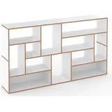 Tojo »hanibal« Regal-System