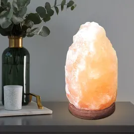 GLOBO Tischleuchte Holz Salzkristall Braun 2 St.