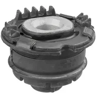 Lemförder Lagerung, Achsträger