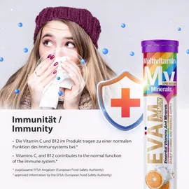 eväm Multivitamin Minerals Brausetabletten 20 St.