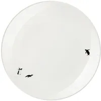 Asa Selection Dessertteller South pole