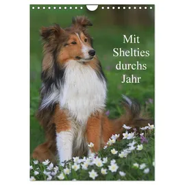 Calvendo Mit Shelties durchs Jahr (Wandkalender 2026 DIN A4 hoch), CALVENDO Monatskalender: