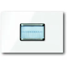 Busch-Jaeger Bewegungsmelder prion 6345-24G-101