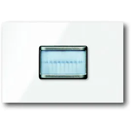 Busch-Jaeger Bewegungsmelder prion 6345-24G-101