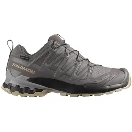 Salomon XA Pro 3D V9 GTX Damen Plum Kitten/Black/Gull 40