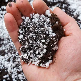 Gardenguru Perlite 125L für Pflanzen zur Bodenverbesserung Bauwesen Substrat ideal für Garten und Zimmerpflanzen