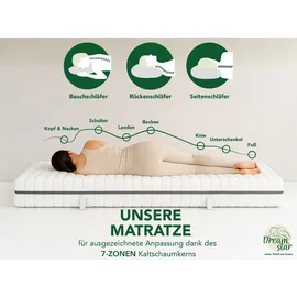 Dreamstar Vital Silber 80 x 200 cm H2
