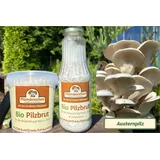 Austernpilz-Pilzbrut BIO 1 Liter