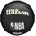 Wilson NBA Team Tribute Mini