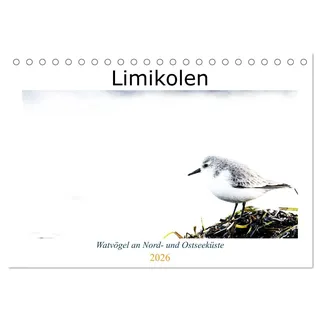 Calvendo Limikolen - Watvögel an Nord- und Ostseeküste (Tischkalender 2026 DIN A5 quer), CALVENDO Monatskalender: Häufige und seltenere Vögel am Spülsaum der Küste (CALVENDO Natur)