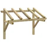 vidaXL Türvordach 150 x 100 x 100 cm grün