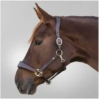 Waldhausen Kopfkrause für Shetlandponys Waldhausen X-Line braun COB