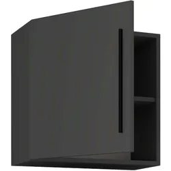 Ebuy24 ArilaM TV Tisch wandschrank 1 Tür anthrazit.