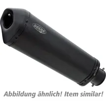 shark performance Shark exhaust DSX-10 Edelstahl beschichtet schwarz-matt, schwarz